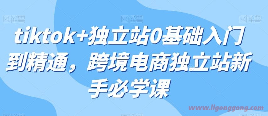 Tiktok+独立站0基础入门到精通,跨境电商独立站新手必学课-软件库